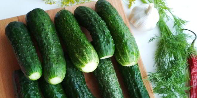 Рецепт малосольных огурчиков и кабачки