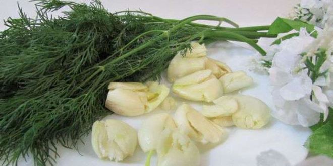 Рецепт малосольных огурчиков в минеральной воде