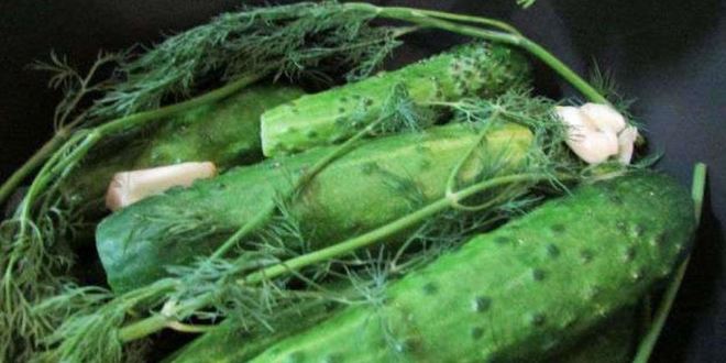 Рецепт малосольных огурчиков в минеральной воде