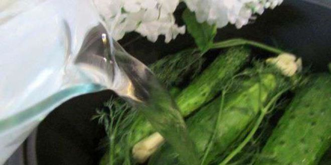 Рецепт малосольных огурчиков в минеральной воде