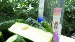 Рецепт Малосольных огурчиков в пакете