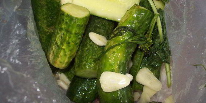 Рецепт малосольных огурчиков в пакете