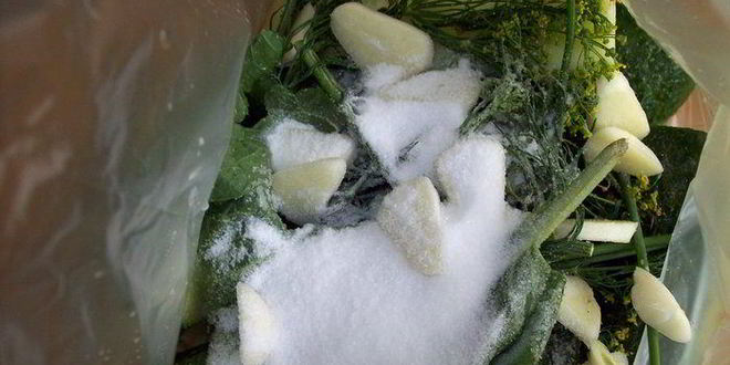 Рецепт малосольных огурчиков в пакете