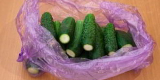 Рецепт малосольных огурцов без рассола