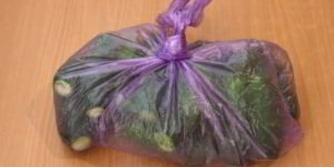 Рецепт малосольных огурцов без рассола