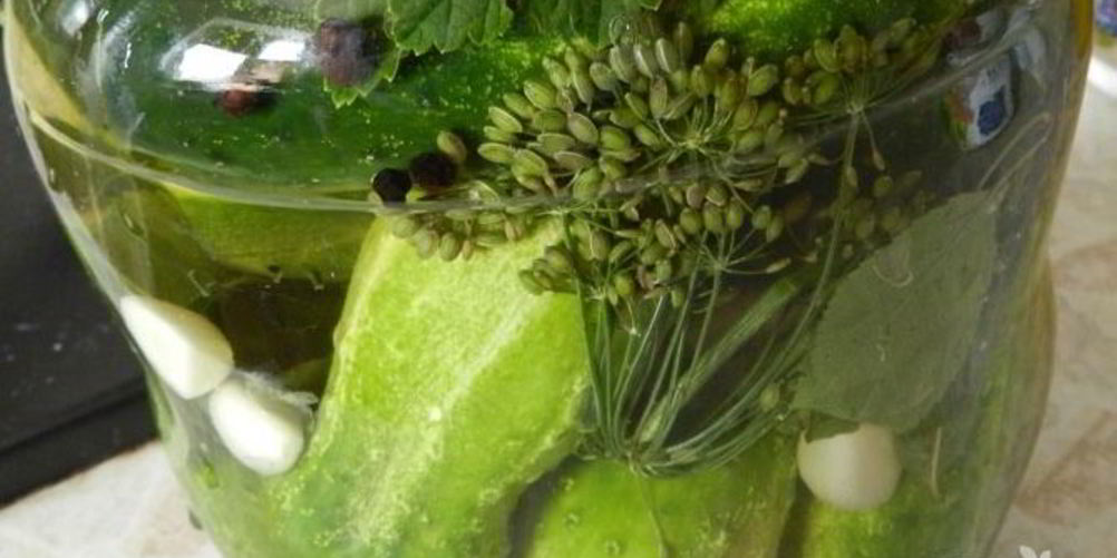 Как приготовить малосольные огурцы на зиму