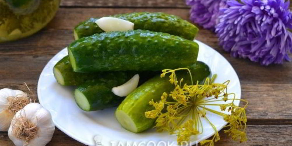 Как приготовить малосольные огурцы с чесноком и укропом