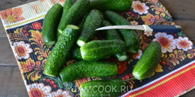 Рецепт малосольных огурцов с чесноком и укропом