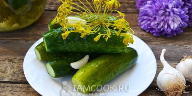 Рецепт малосольных огурцов с чесноком и укропом