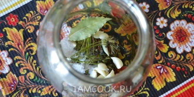 Рецепт малосольных огурцов с чесноком и укропом