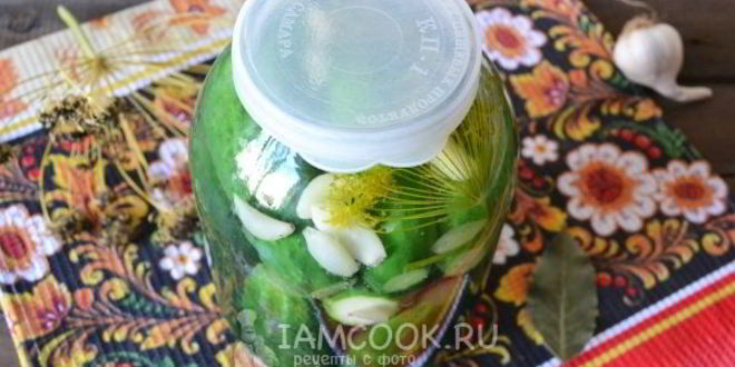 Рецепт малосольных огурцов с чесноком и укропом