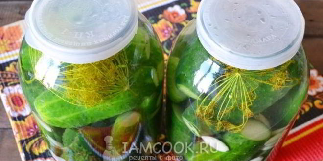 Рецепт малосольных огурцов с чесноком и укропом