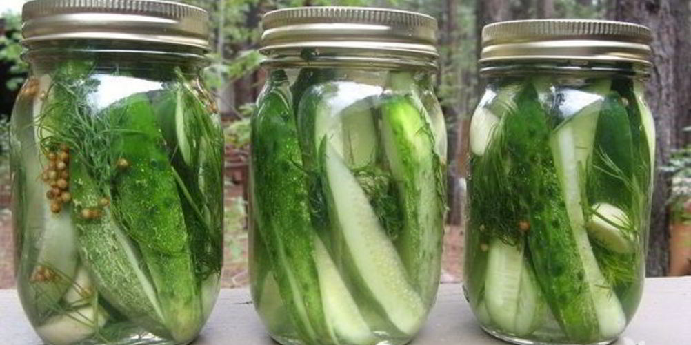 Как приготовить малосольные огурцы с рассолом
