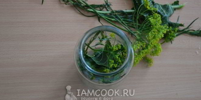 Рецепт малосольных огурцов в банке