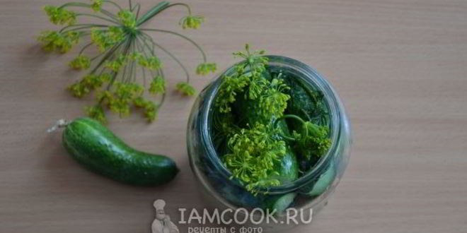 Рецепт малосольных огурцов в банке