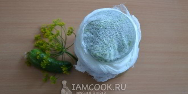 Рецепт малосольных огурцов в банке