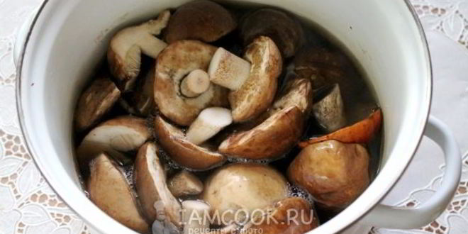 Рецепт малосольных подберезовиков