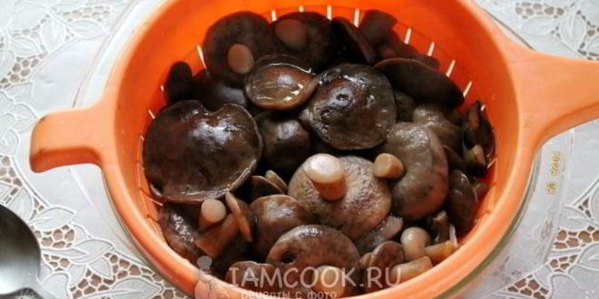 Рецепт малосольных подберезовиков