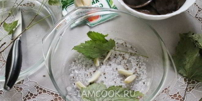 Рецепт малосольных подберезовиков