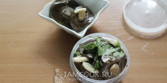 Рецепт малосольных подберезовиков