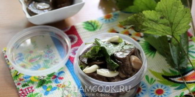 Рецепт малосольных подберезовиков