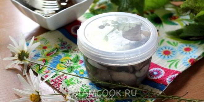 Рецепт малосольных подберезовиков