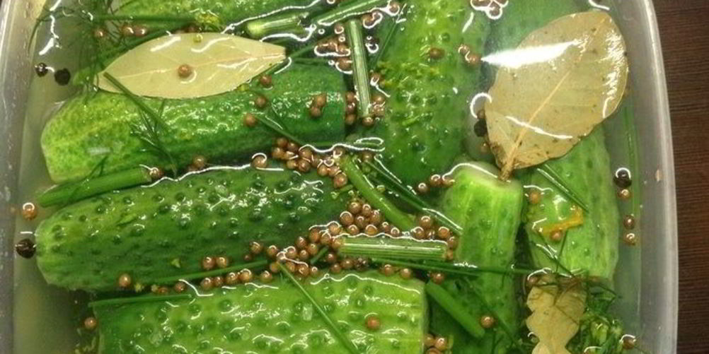 Как приготовить огурцы малосольные летние на удачу