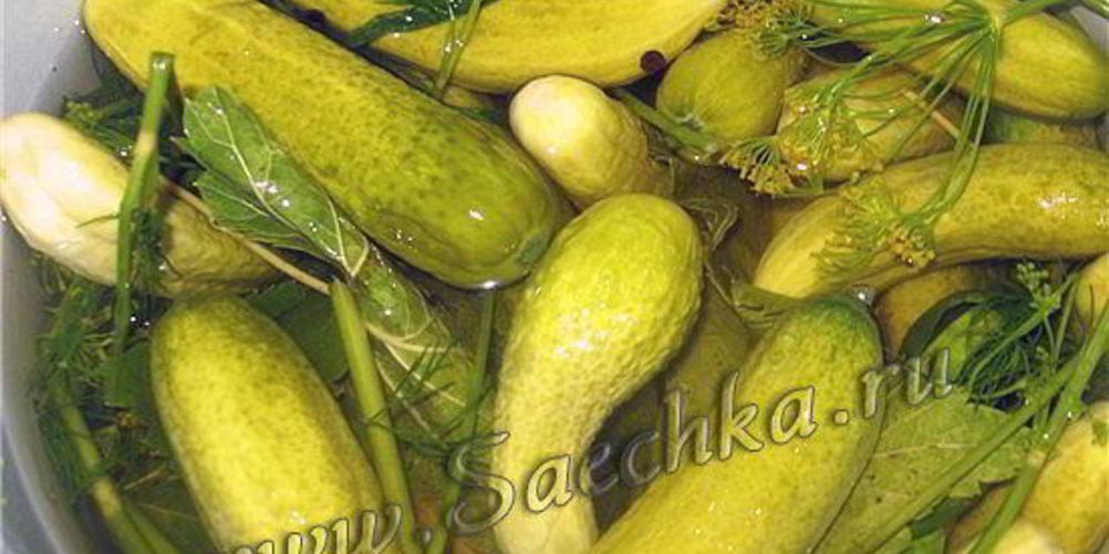 Как приготовить огурцы малосольные