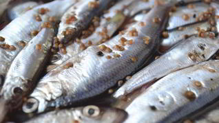 Рецепт Салаки пряного посола