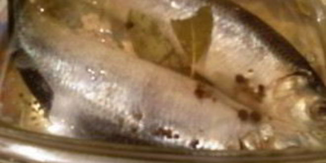 Рецепт салаки пряного посола