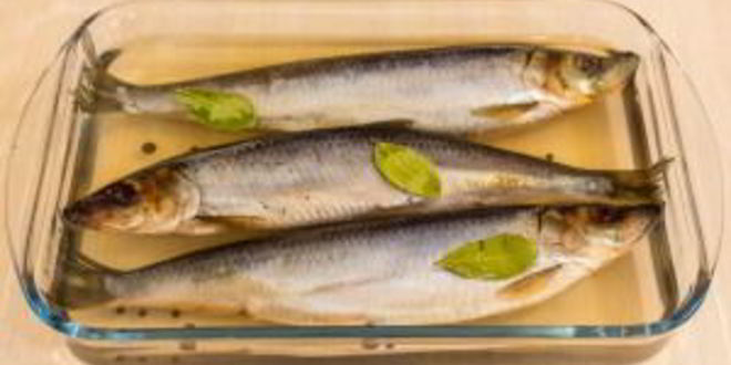 Рецепт сельди соленой