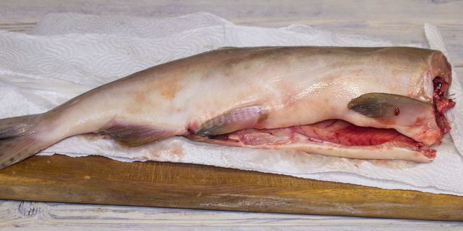 Рецепт слабосоленой горбуши под семгу