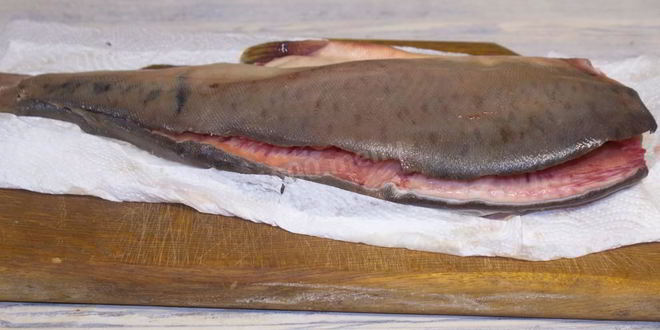Рецепт слабосоленой горбуши под семгу
