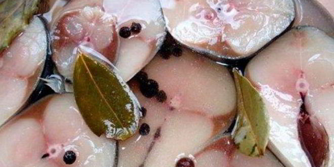 Рецепт слабосоленой скумбрии