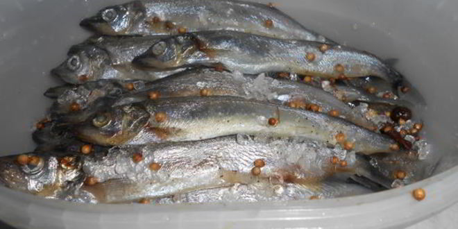 Рецепт соленой мойвы по-домашнему