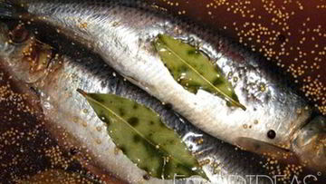 Рецепт Соленой сельди