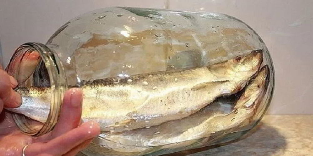 Как приготовить соленую селедку