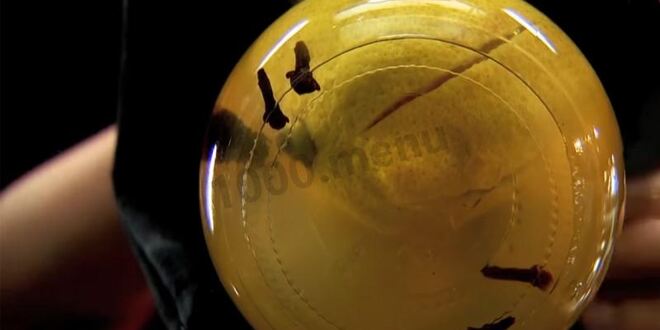 Рецепт соленых лимонов