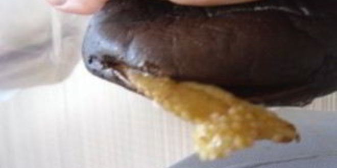 Рецепт соленых баклажанов на зиму