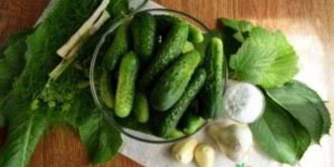 Рецепт соленых огурцов на зиму в банках