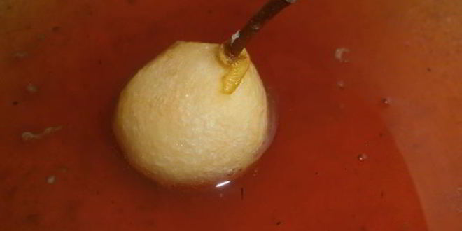 Рецепт киевского сухого варенья из груш