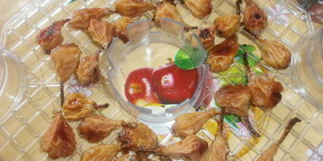 Рецепт киевского сухого варенья из груш