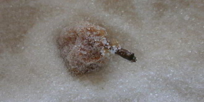 Рецепт киевского сухого варенья из груш