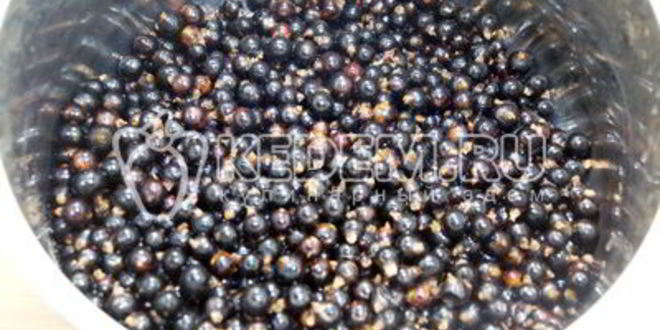 Рецепт смородинового варенья