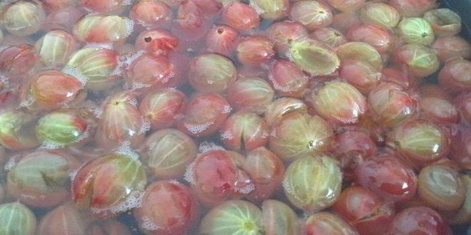 Рецепт царского варенья из крыжовника