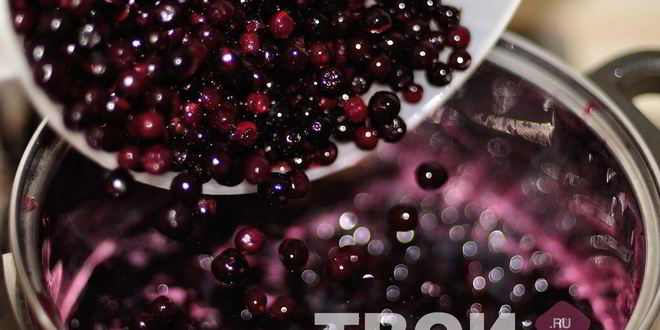 Рецепт варенья из черноплодной рябины