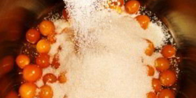 Рецепт варенья из физалиса земляничного