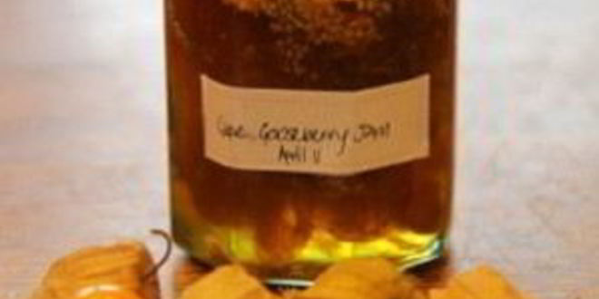 Рецепт варенья из физалиса земляничного