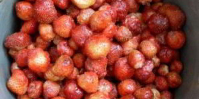 Рецепт варенья из клубники на зиму