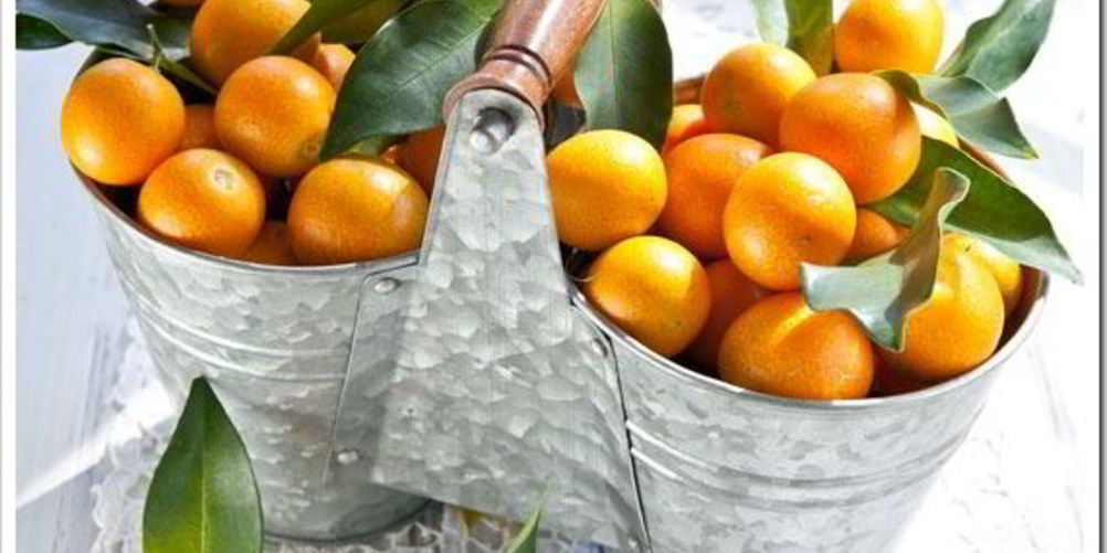 Как приготовить варенье из кумквата